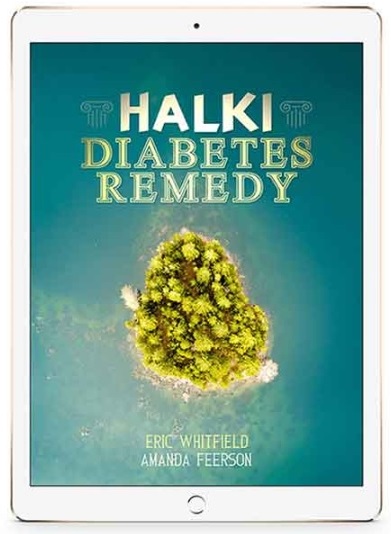 Halki Diabetes Remedy e-cover